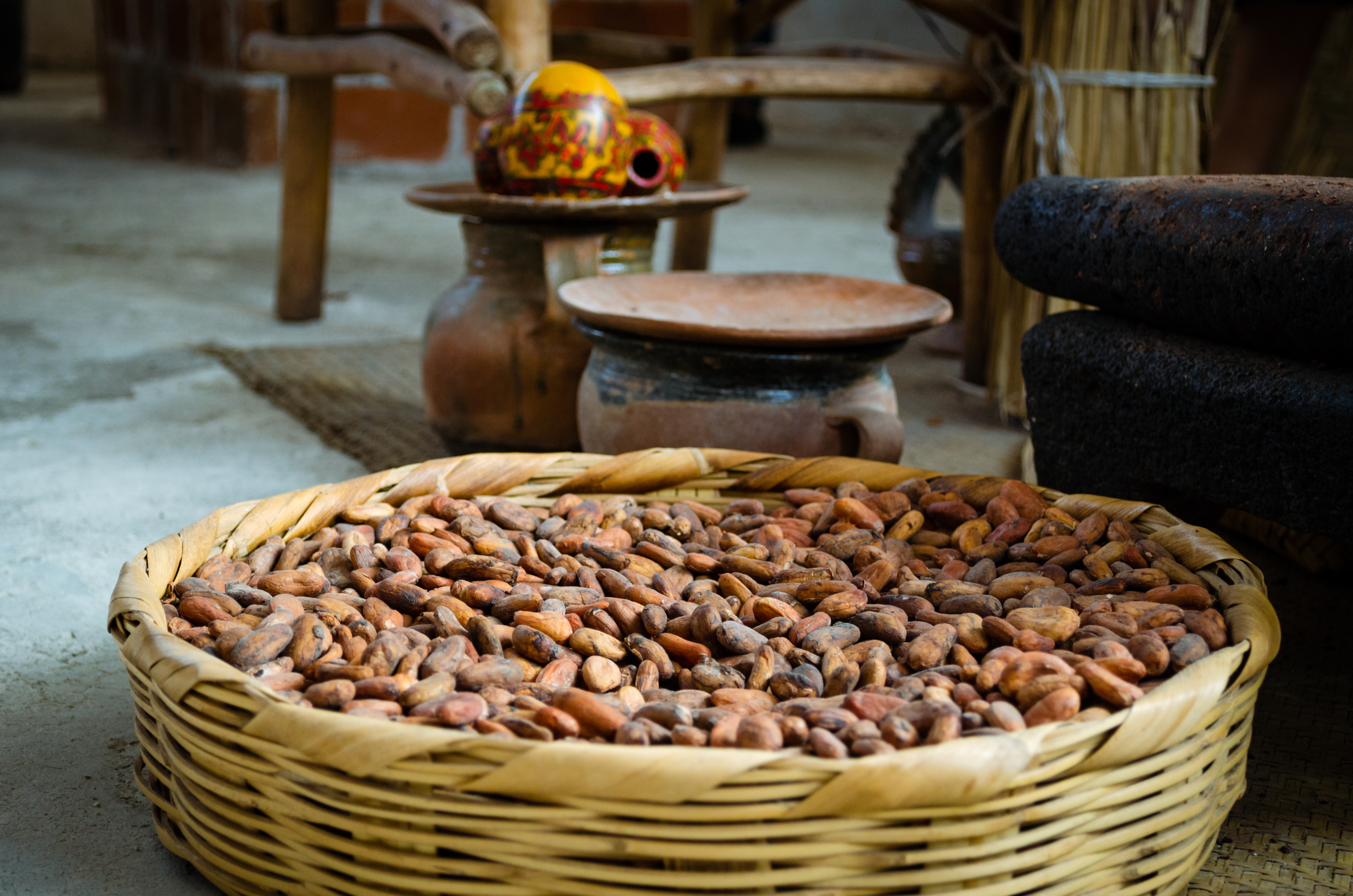 The Mayan Cacao Company