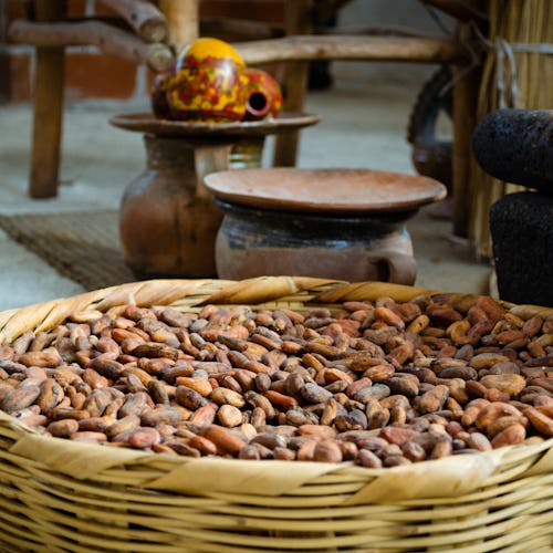 The Mayan Cacao Company