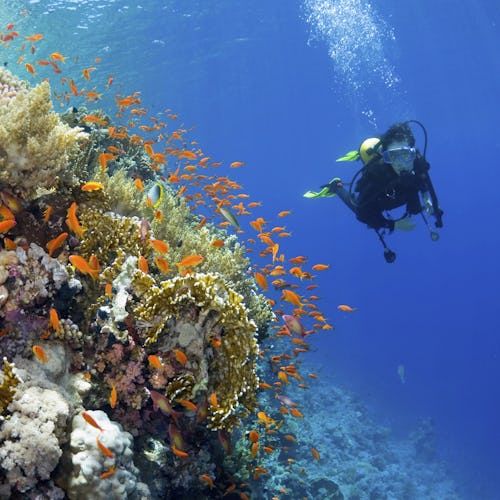 Good For Action Packed Itineraries