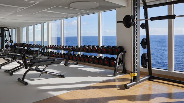 Equipment in the B-Complex