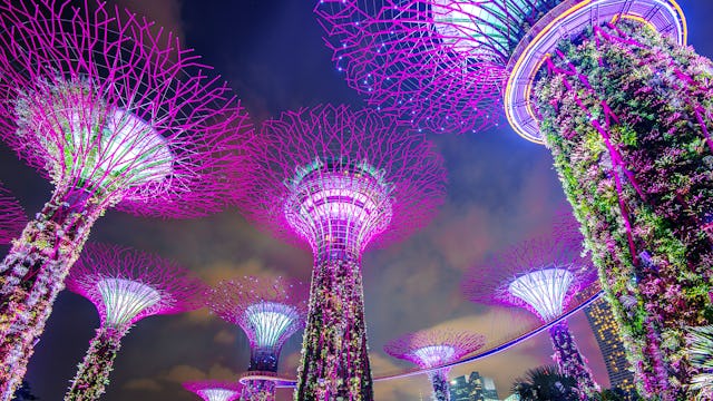 Gardens by the Bay - Singapore