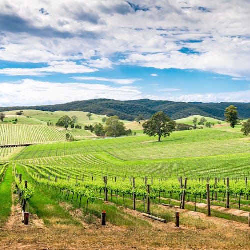 Barossa Valley - Adelaide