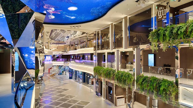 MSC World Atlantic, World Galleria