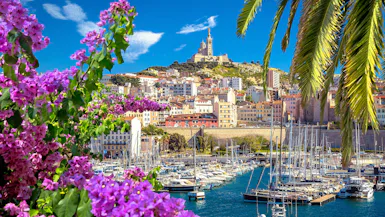 Mediterranean Gems Discovery