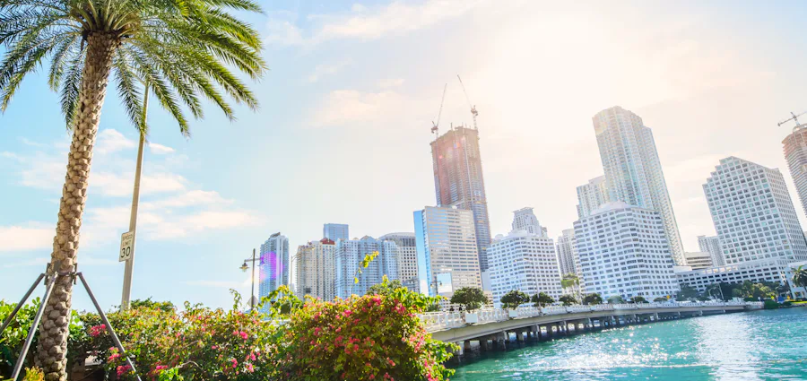 Miami Skyline