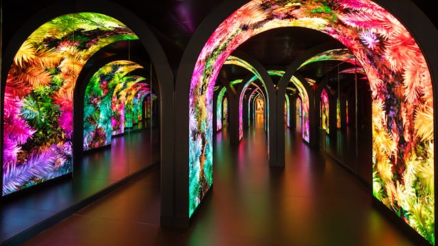 Celebrity Xcel Carnival Tunnel in the Bazaar