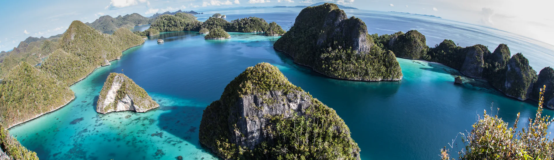 Papua New Guinea-Australasia