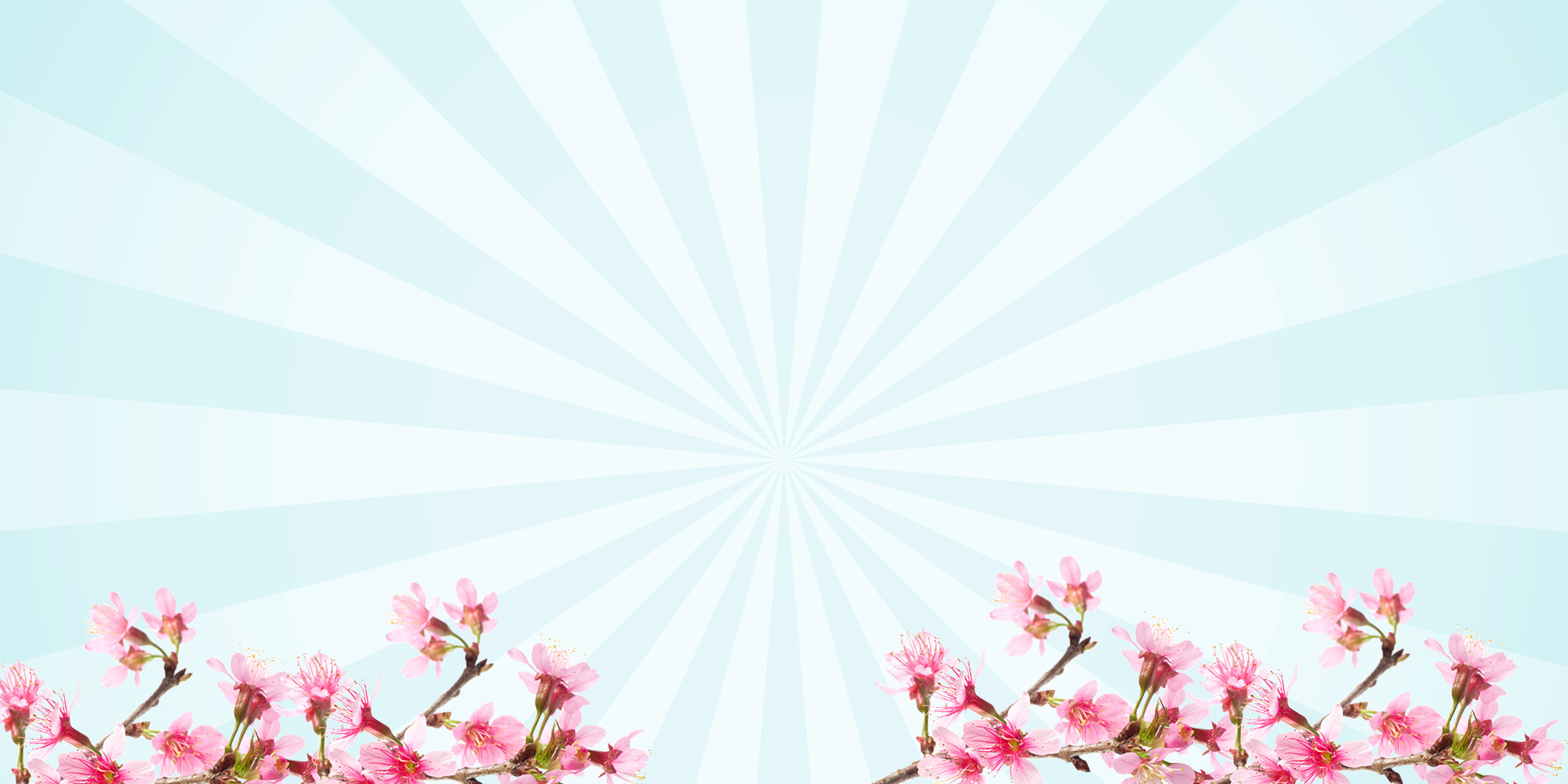 SSC Spring Clearance