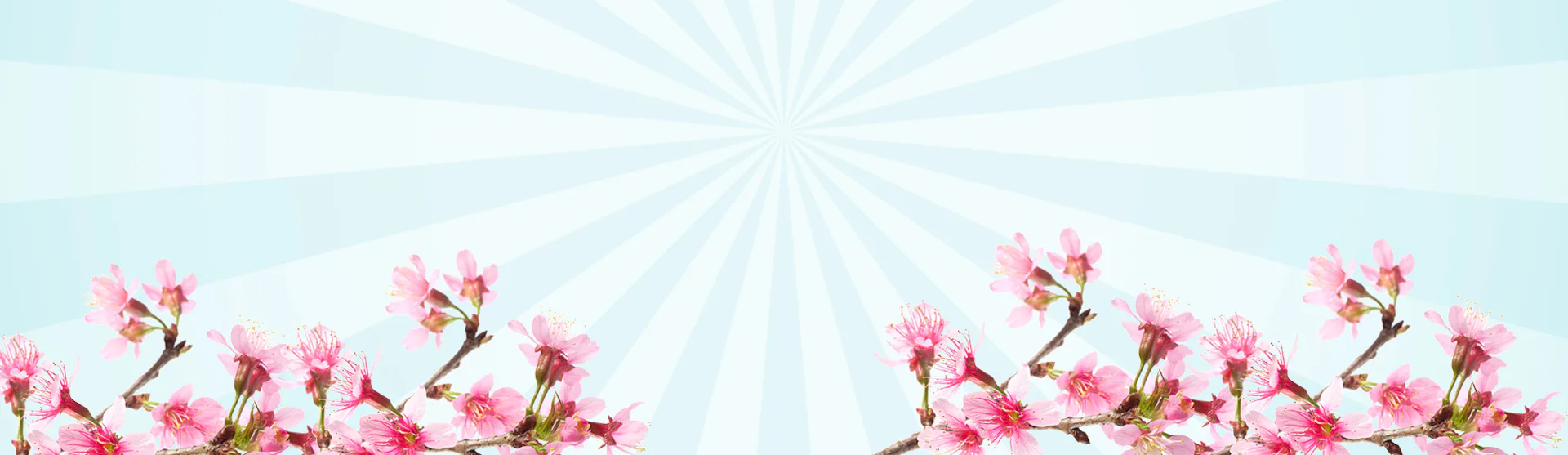 SSC Spring Clearance