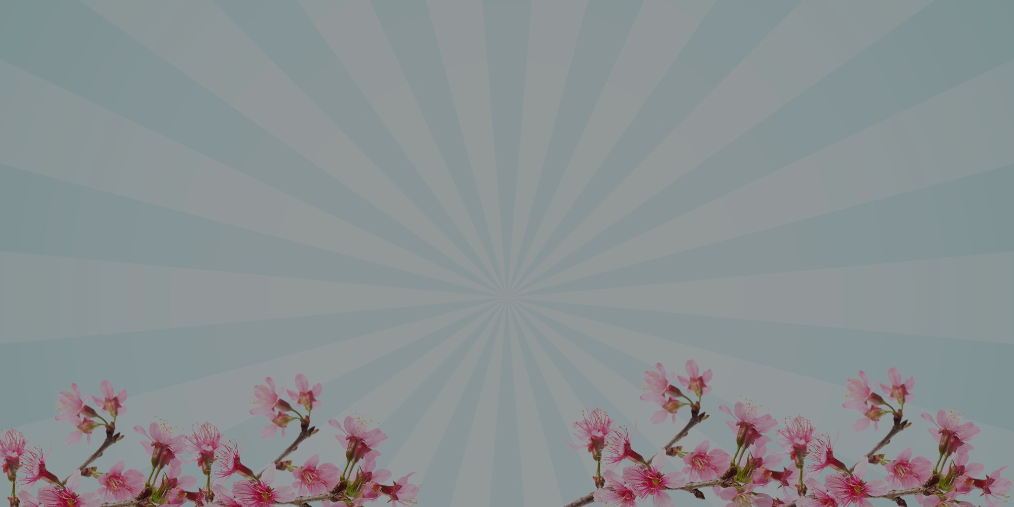 Spring Clearance Banner