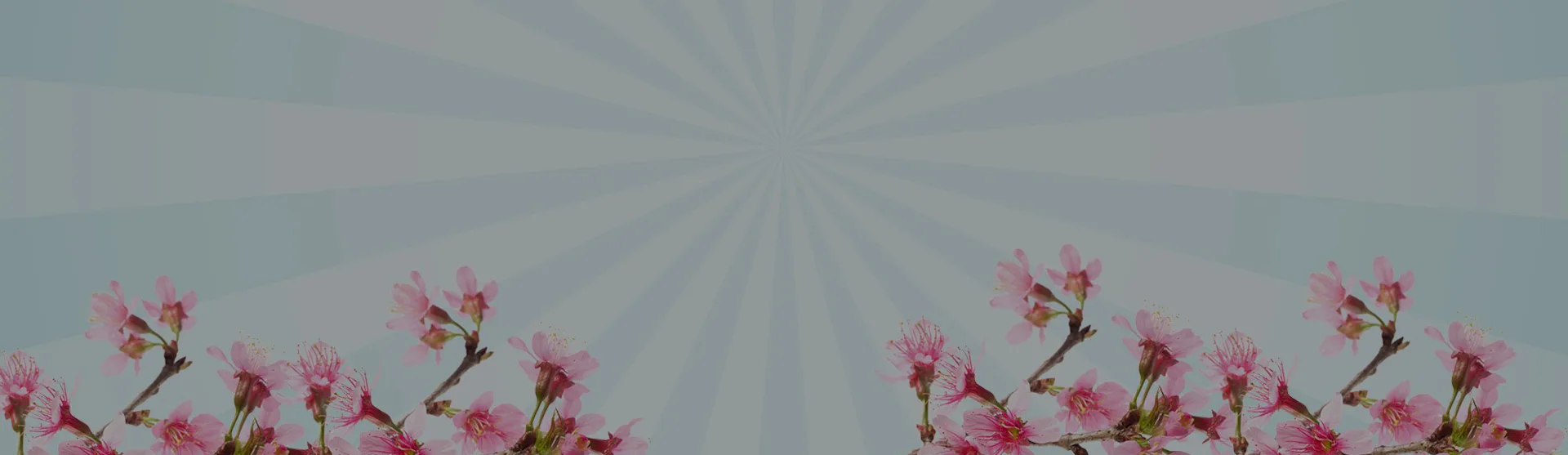 Spring Clearance Banner