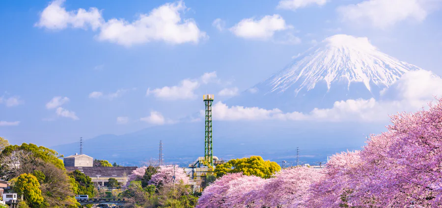 Tokyo in bloom