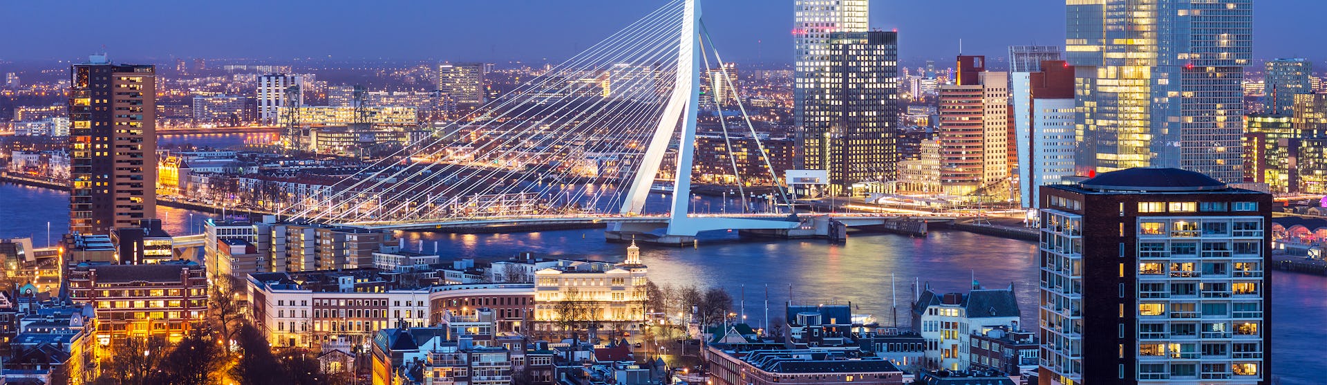 Rotterdam Cruises