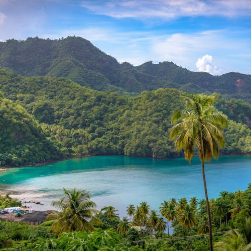 Saint-Vincent-Caribbean