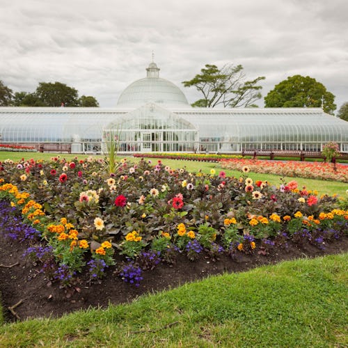 Glasgow Botanic Gardens