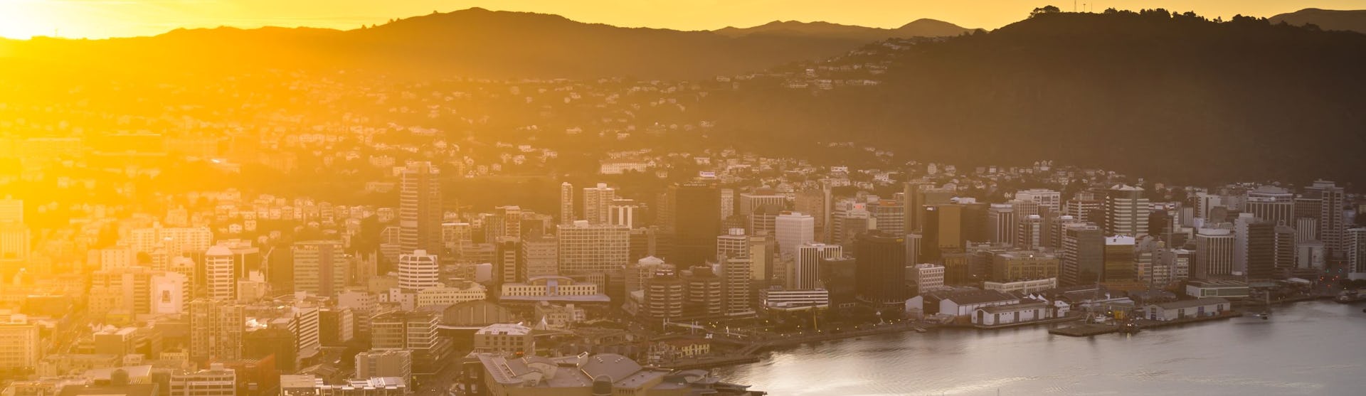 Wellington Cruises