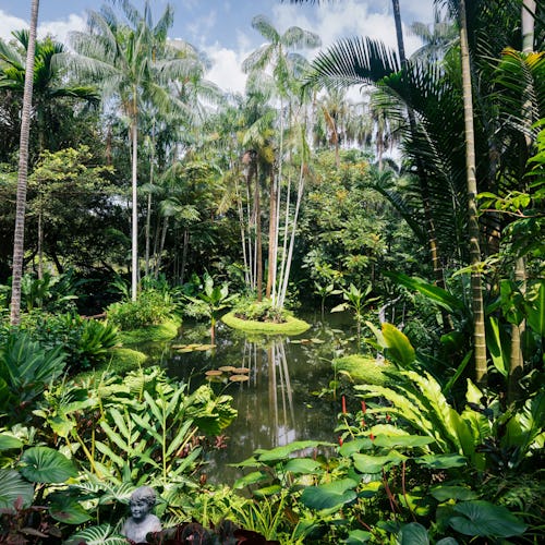 The Darwin Botanic Gardens