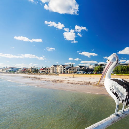 Adelaide-Australia-Australasia