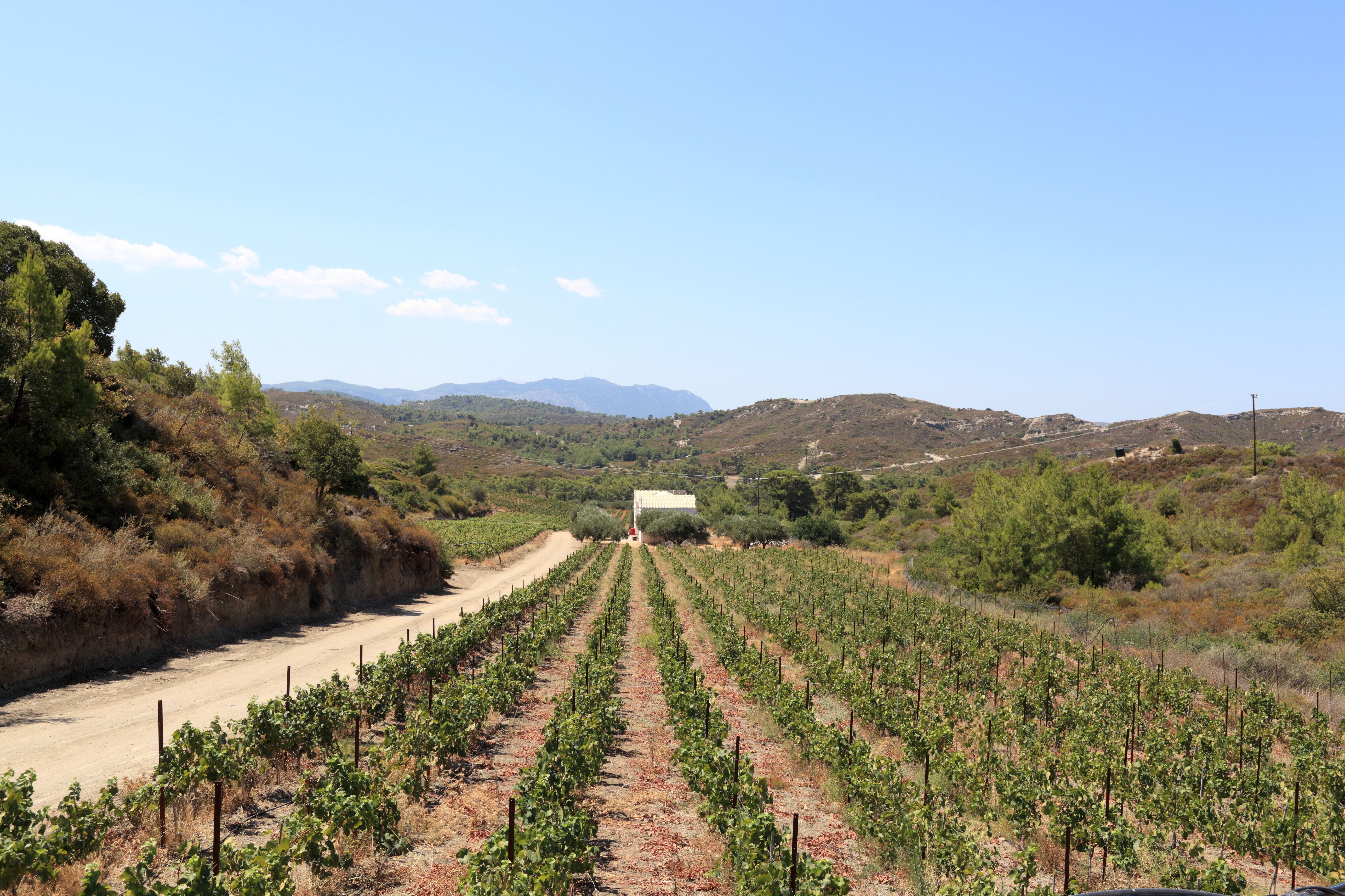 Domaine Mercouri Winery