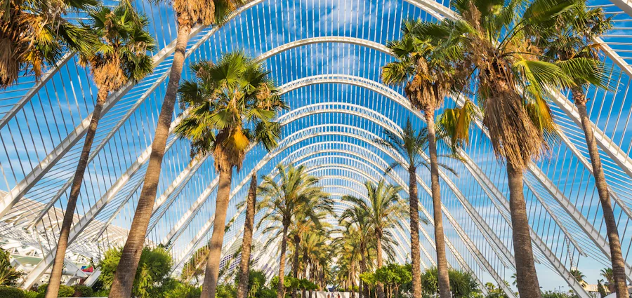 4. Italian, French & Spanish Voyage