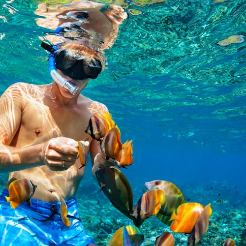 Snorkelling