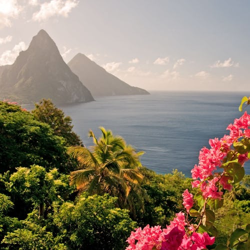 Explore lush rainforests & hidden coves