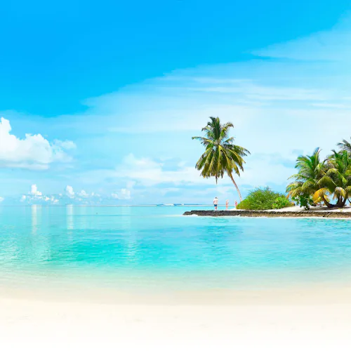 Cruise & Stay Sale