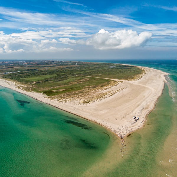 Grenen