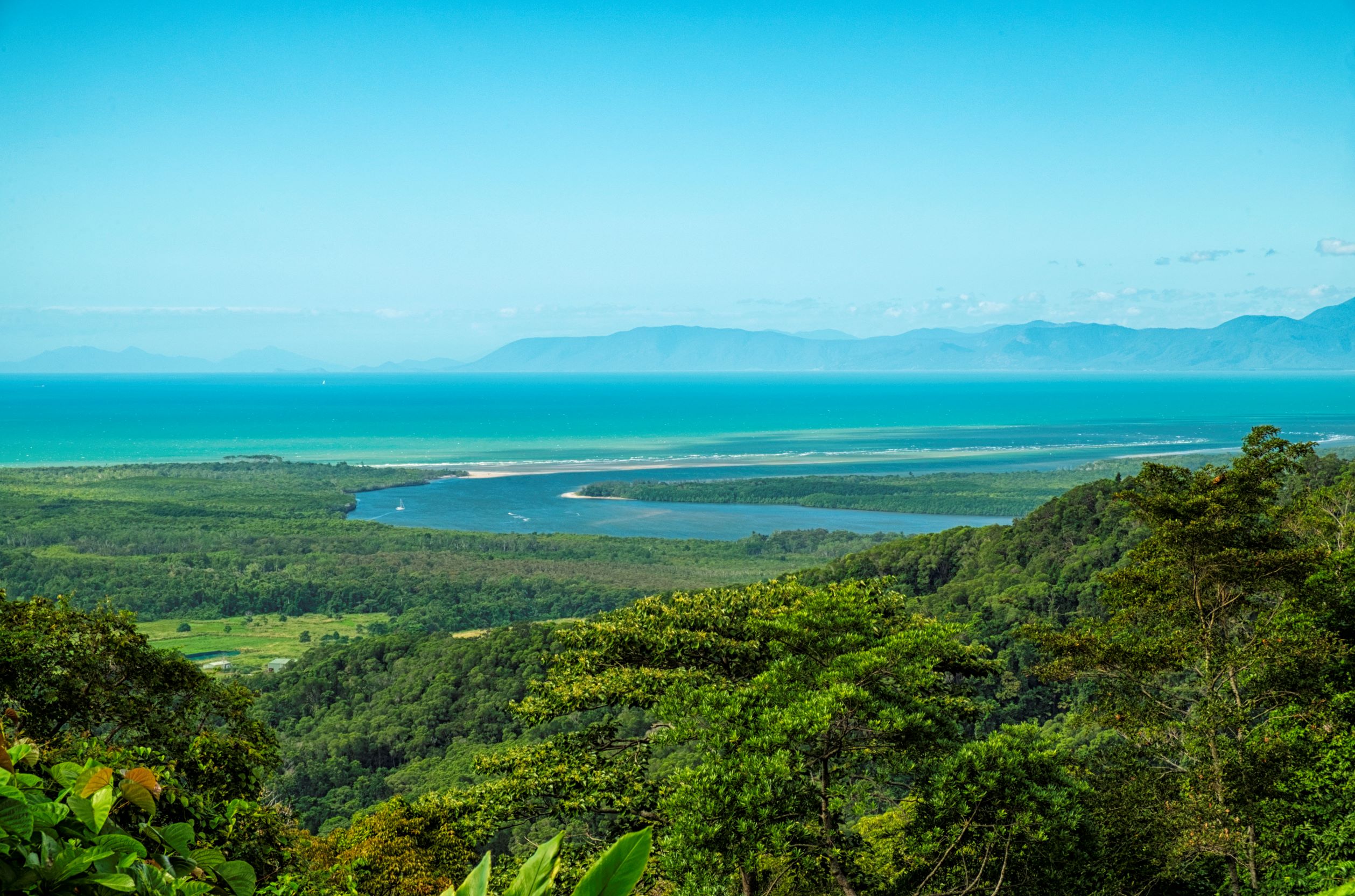 Daintree-Rainforest-Cairns-Australia