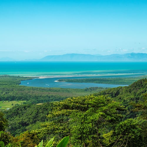 Daintree-Rainforest-Cairns-Australia