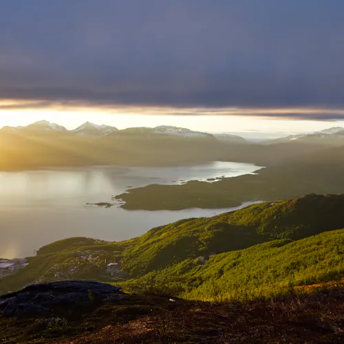No Fly Norway Nights