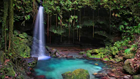 Dominica