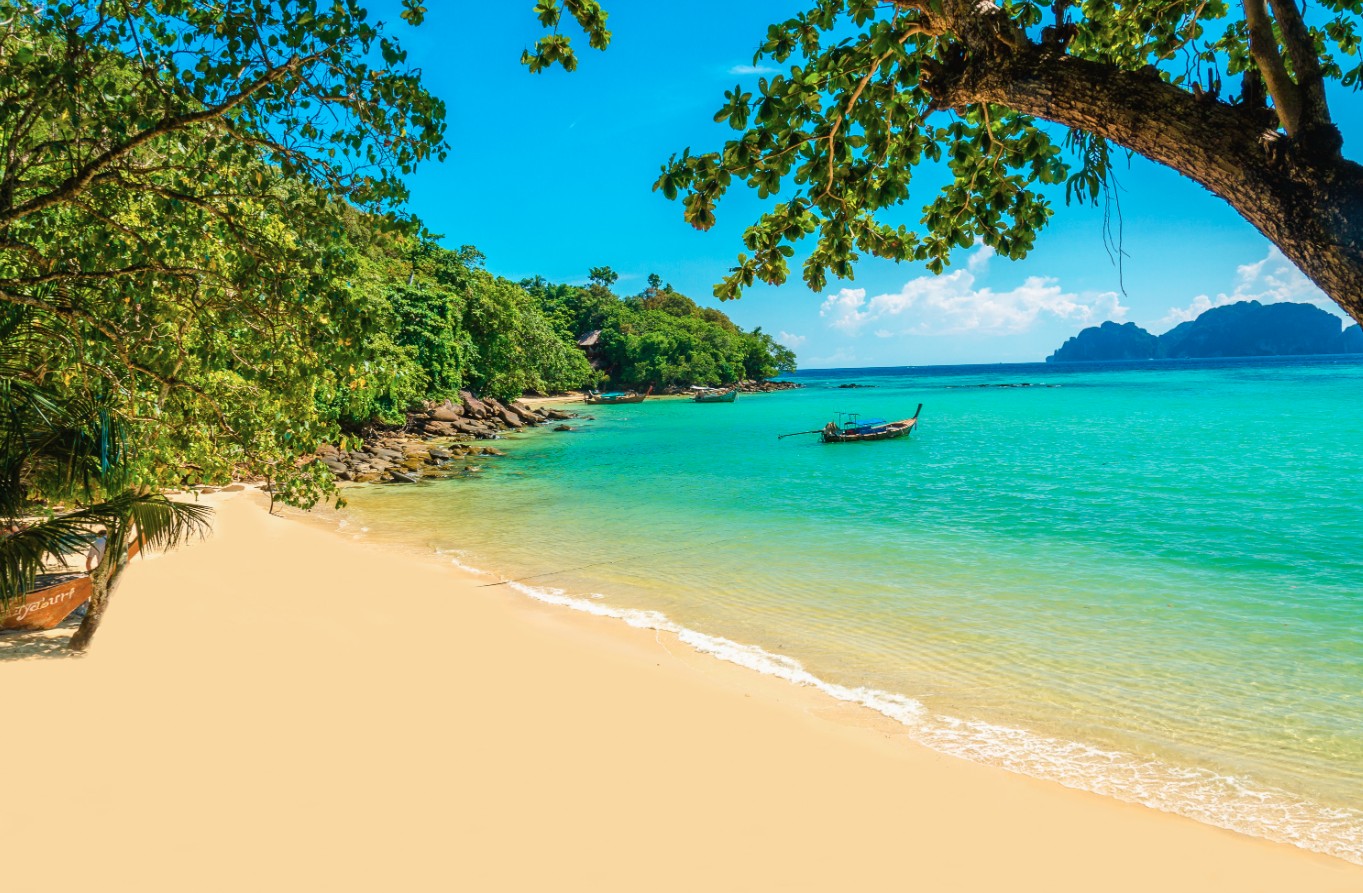 Asia Tropical Trilogy - Bali Retreat, Singapore Sling & Vietnam