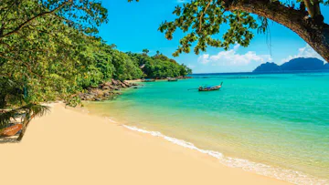 Asia Tropical Trilogy - Bali Retreat, Singapore Sling & Vietnam