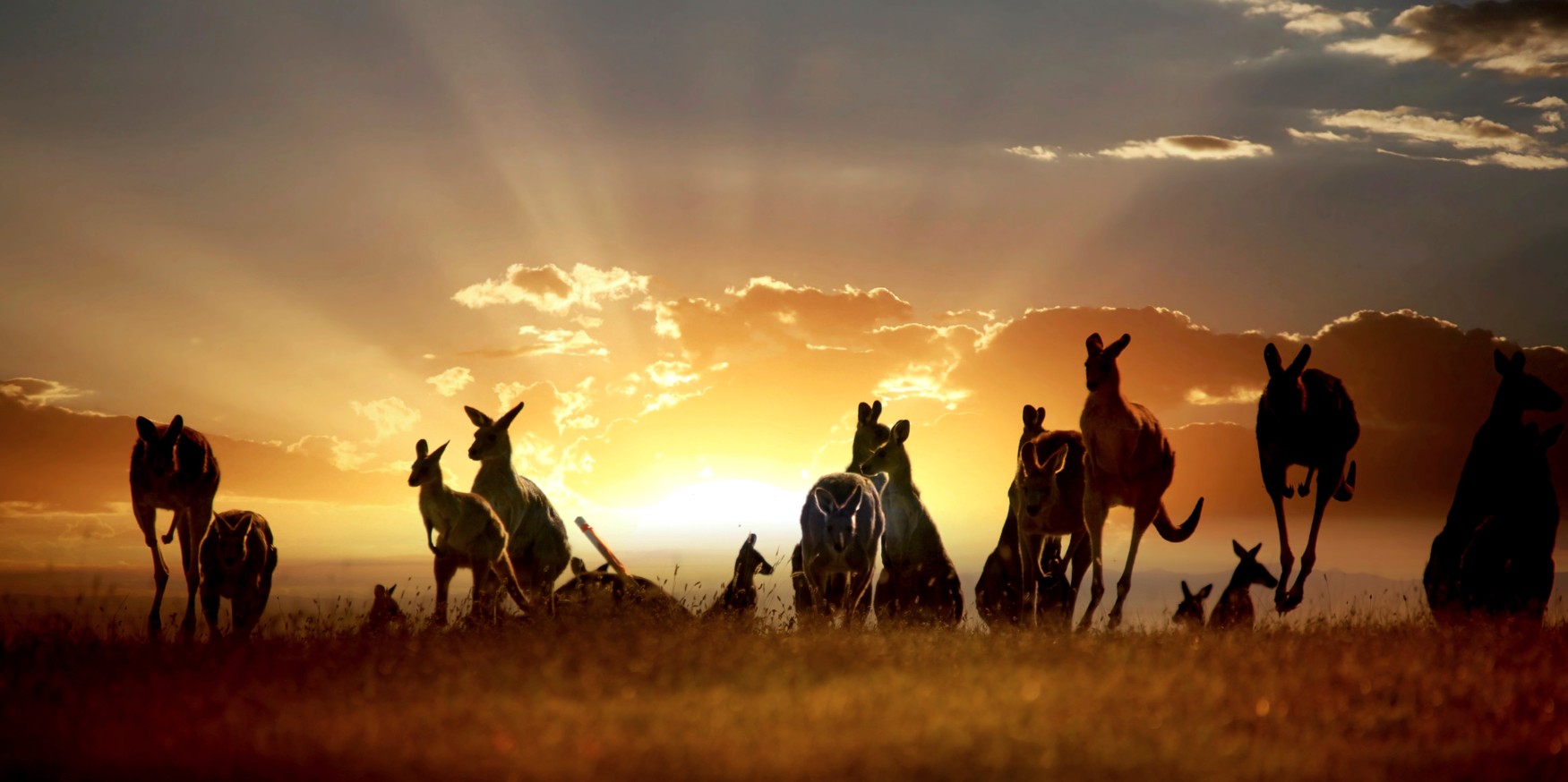 Legendary Australia Circumnavigation: The Ultimate Continent Cruise