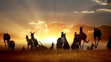 Legendary Australia Circumnavigation: The Ultimate Continent Cruise