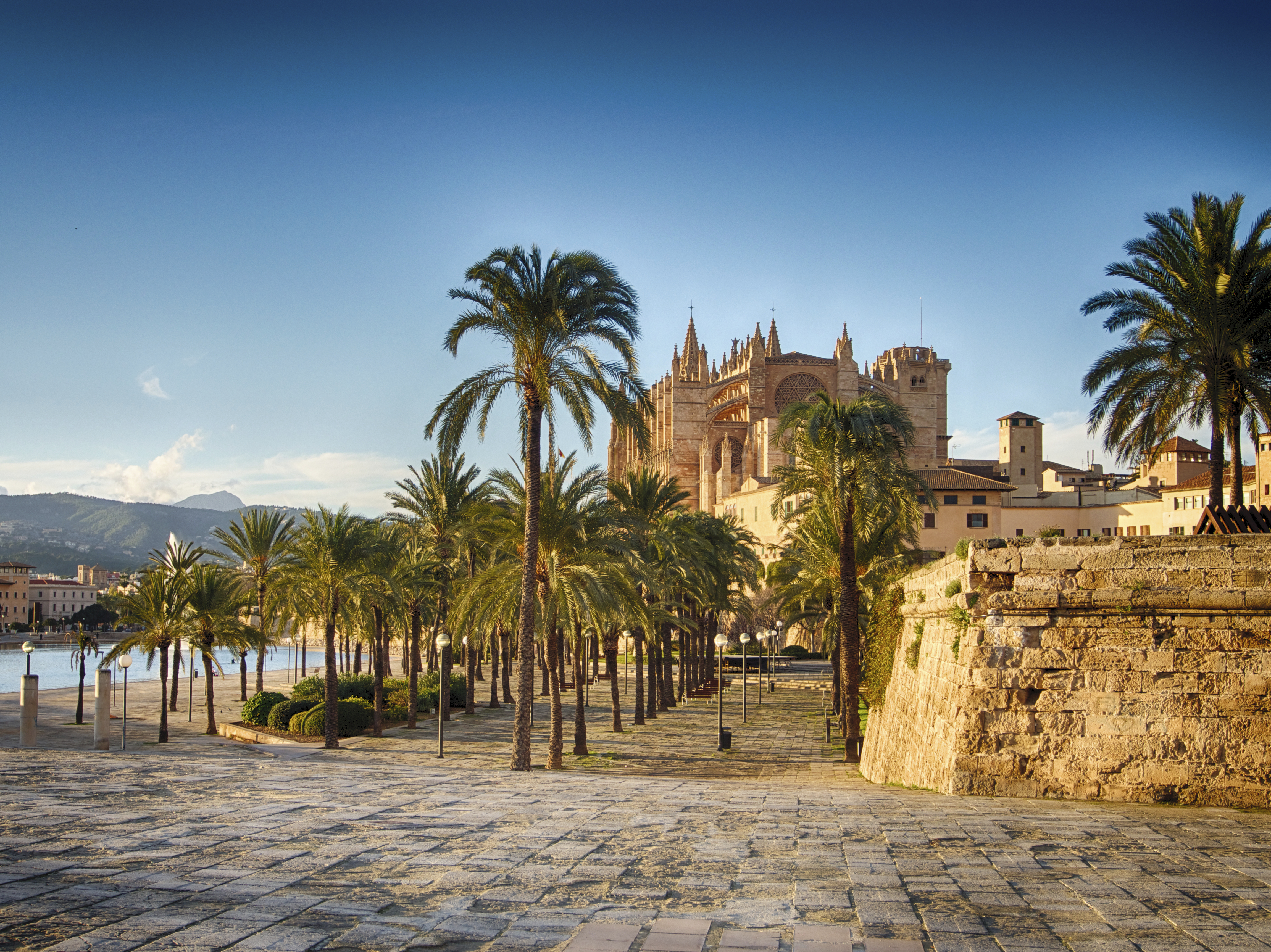 Palma