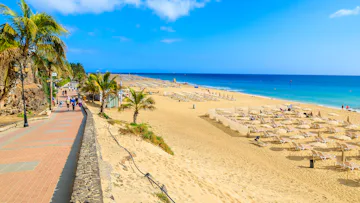 Ultimate Canary Islands and Morocco With Barcelona Stay
