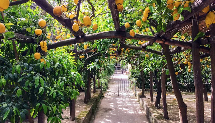 Sorrento