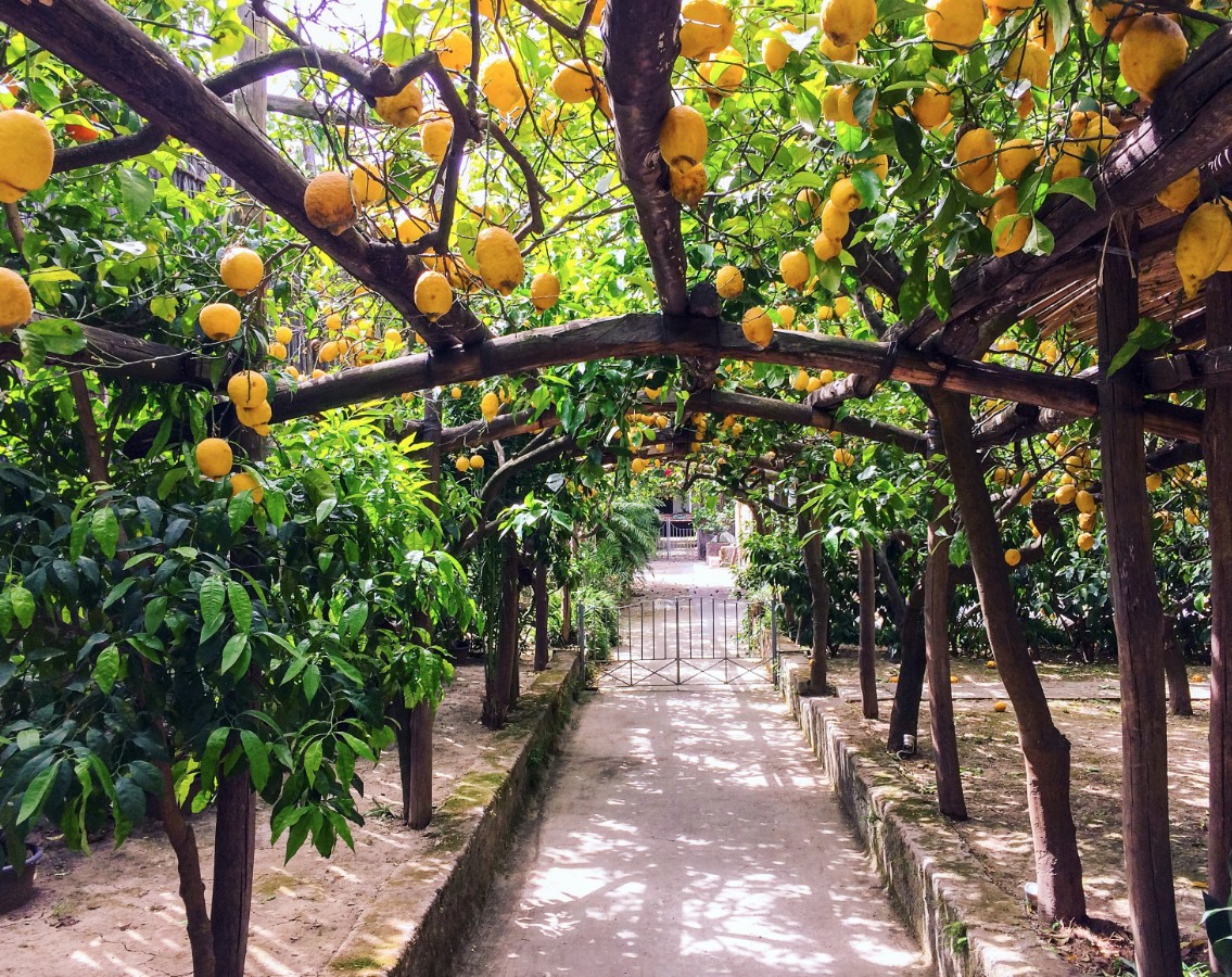 Sorrento