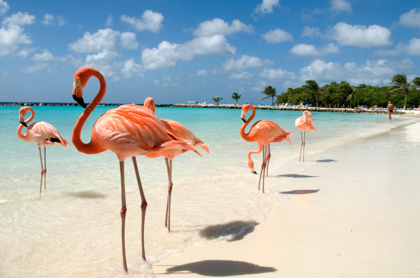 Aruba