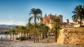 Palma