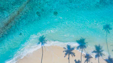 Coral & Coconuts with Half Moon Cay & Miami Stay
