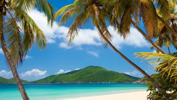 Adults Only! Eastern Caribbean & Bimini Beach Club With Miami Stay