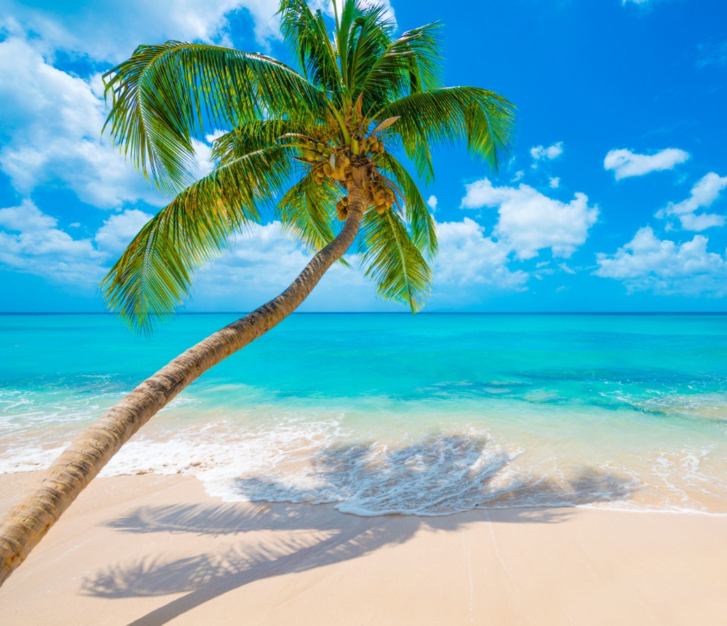 Southern Caribbean Island Hops with Barbados Stay
