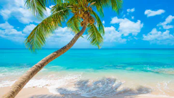 Southern Caribbean Island Hops with Barbados Stay