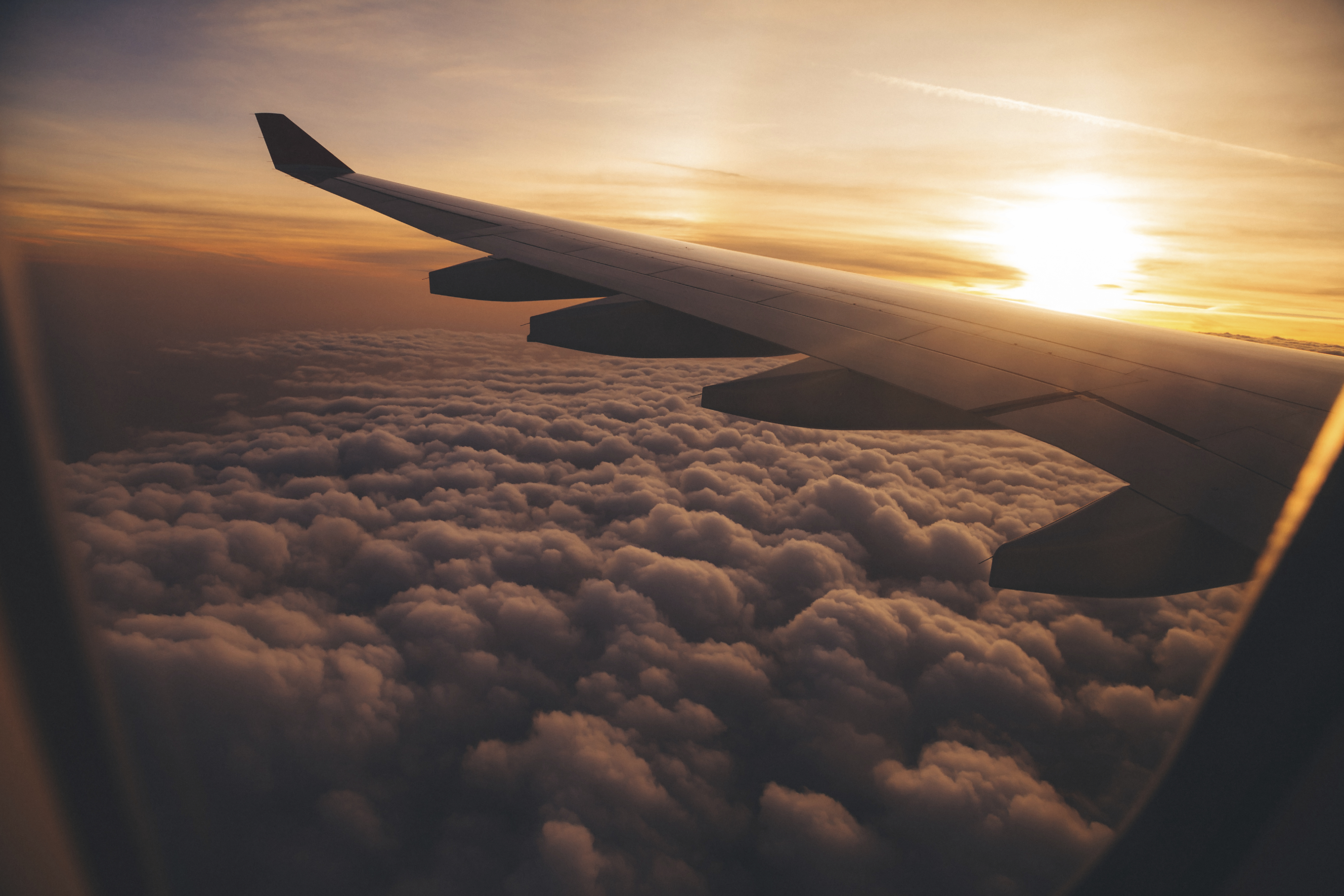 plane wing