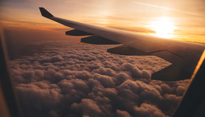 plane wing