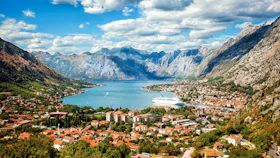 Kotor