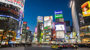 Ultimate Japan and Vietnam with Tokyo Stay and FREE Drinks and WiFi